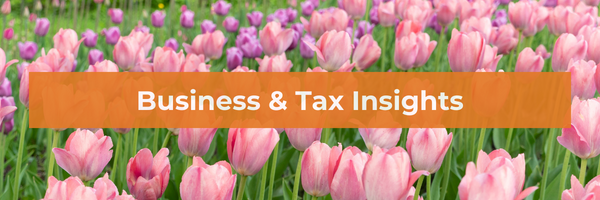 Business & Tax Insights March 2023-1